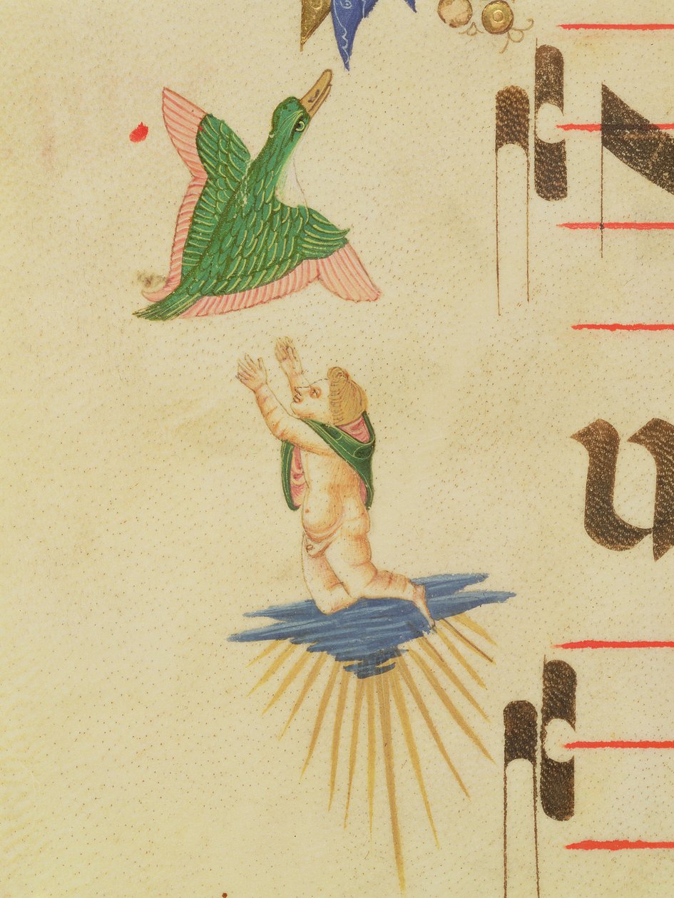 Messale 515 f.13v Un cherubino incappucciato che cerca di catturare un uccello volante, (dettaglio) da Filippo di Matteo Torelli