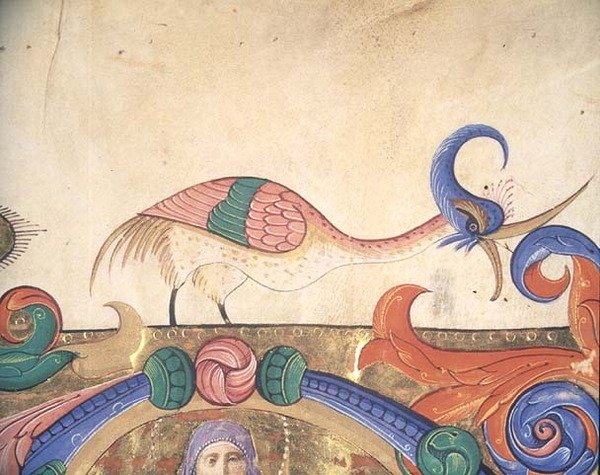 Fantastischer Vogel, Detail der Dekoration um eine historiierte Initiale aus einem Chorbuch vor 1449 (Pergament) (Detail) von Filippo di Matteo Torelli