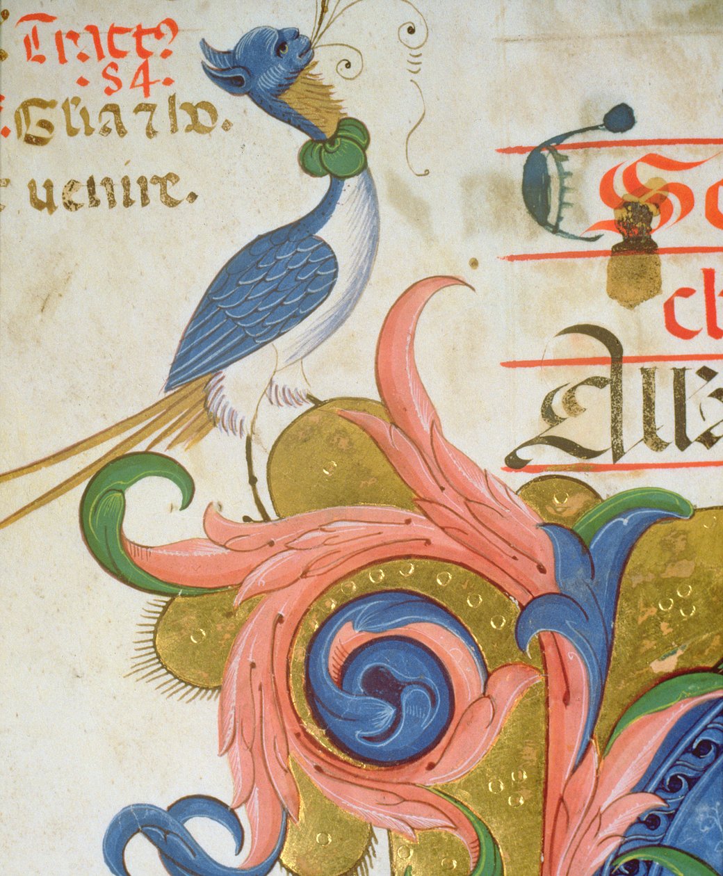 Messale 515 f.28v Uccello fantastico con testa umana, (dettaglio) da Filippo di Matteo Torelli