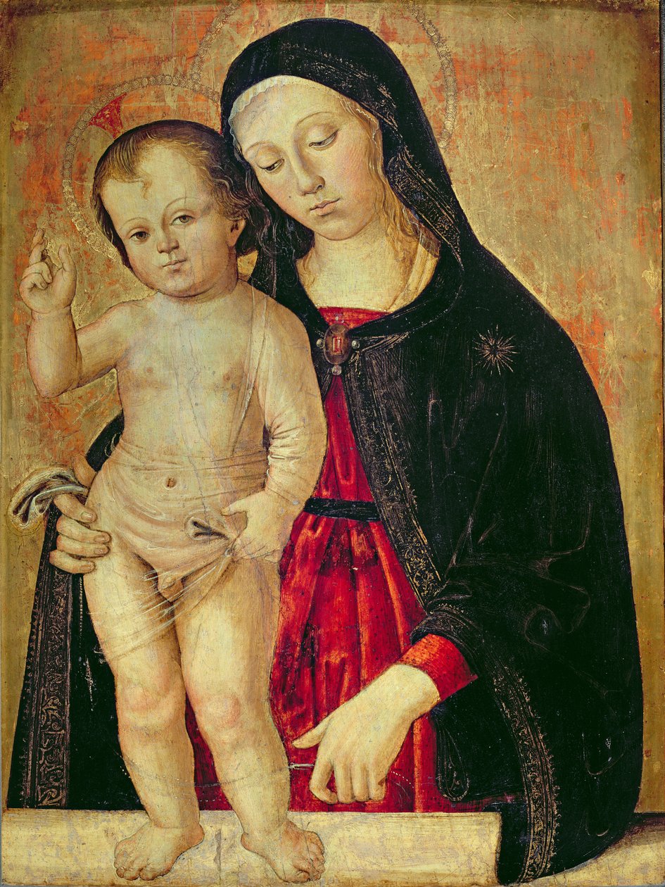 Vergine con Bambino (olio su tavola) da Fiorenzo di Lorenzo
