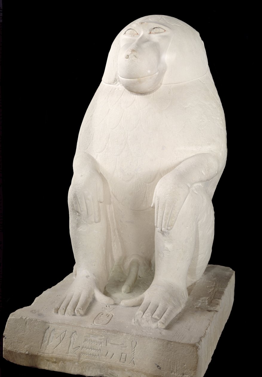 Babbuino, Medio Regno, possibilmente VII dinastia (pietra calcarea) da First Intermediate Period Egyptian