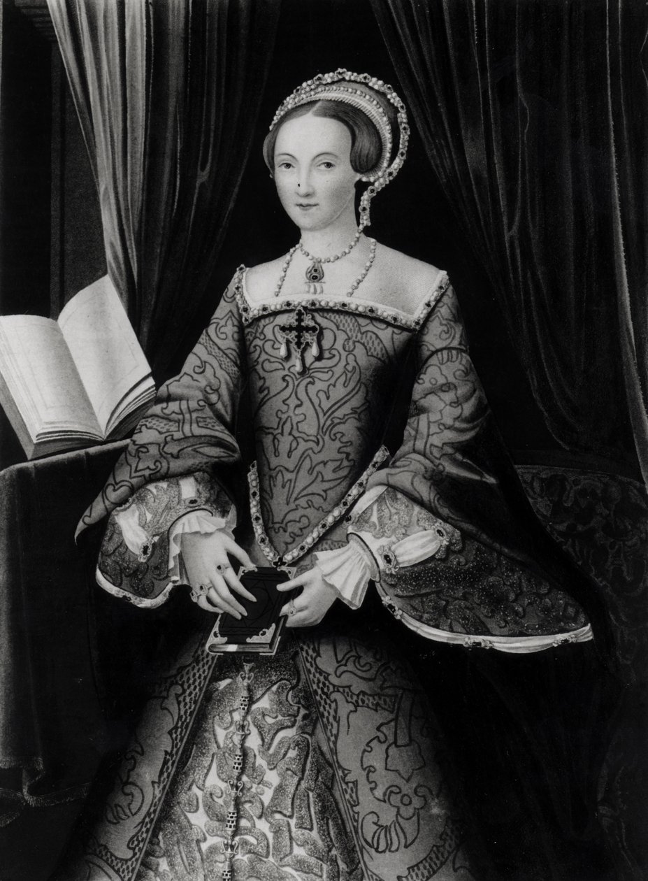 Ritratto di Elisabetta I quando era principessa (1533-1603) c.1546 da Flemish School