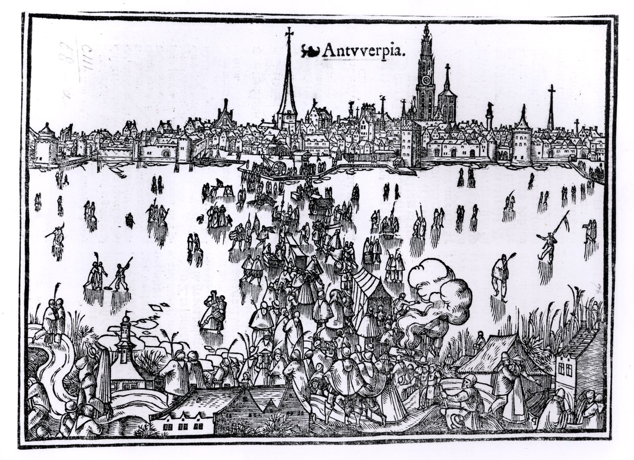 Veduta di Anversa da Flemish School