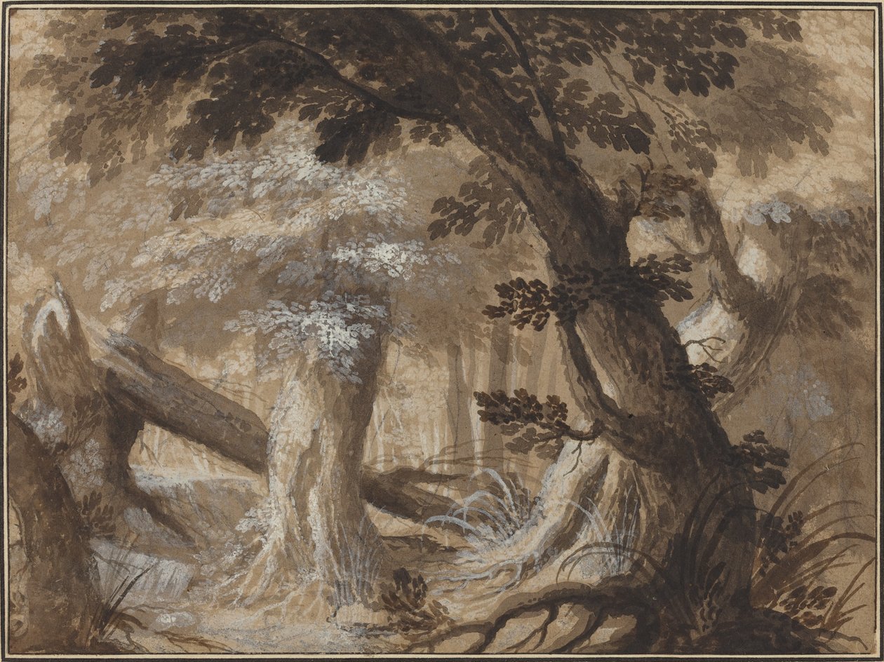 Interno della foresta da Flemish 17th Century