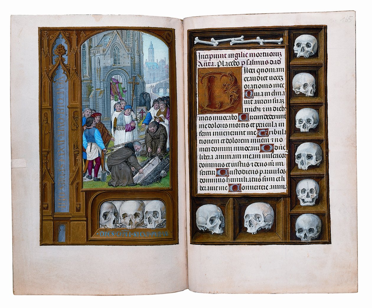 Fogli del Libro d