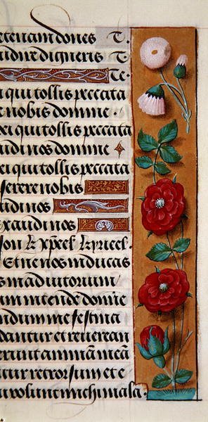Ms. 1058-1975, f.120r: (dettaglio) di un bordo floreale da un Libro d