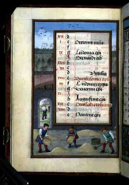 Ms 1058-1975 f8v Ventilazione del grano in un granaio, pagina del calendario illuminata per agosto, da un Libro d