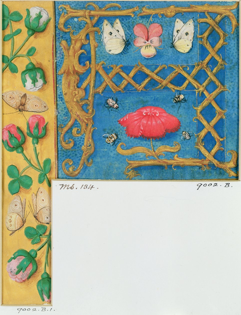Lettera miniata 