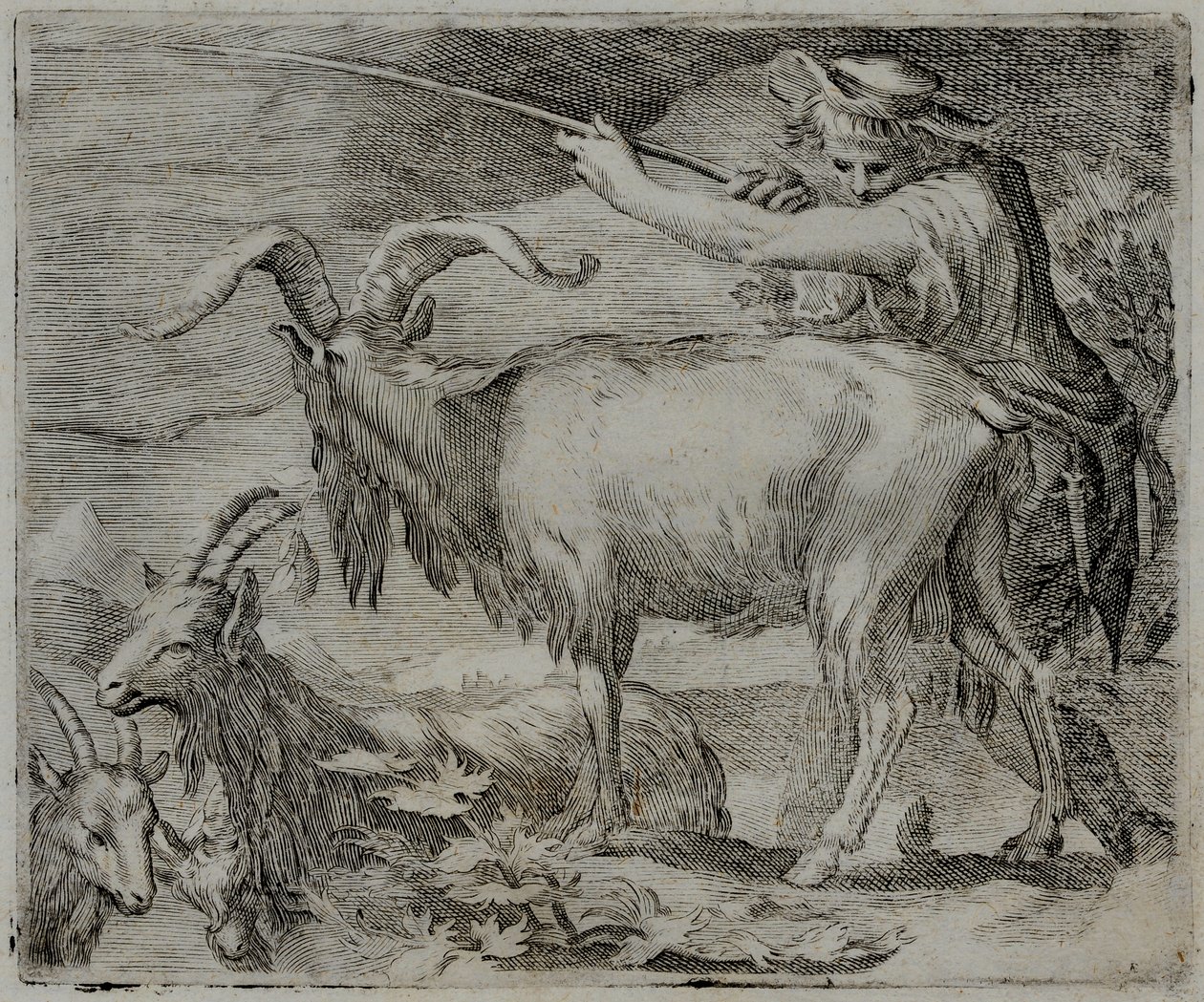 Incisione di un antico maestro da Flemish School