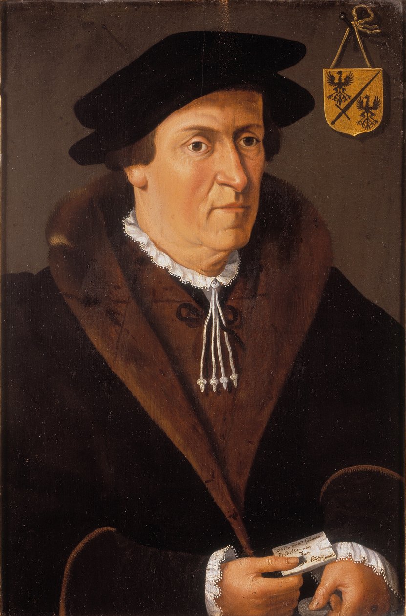 Ritratto di Jan de Fevere, c.1540-59 da Flemish School