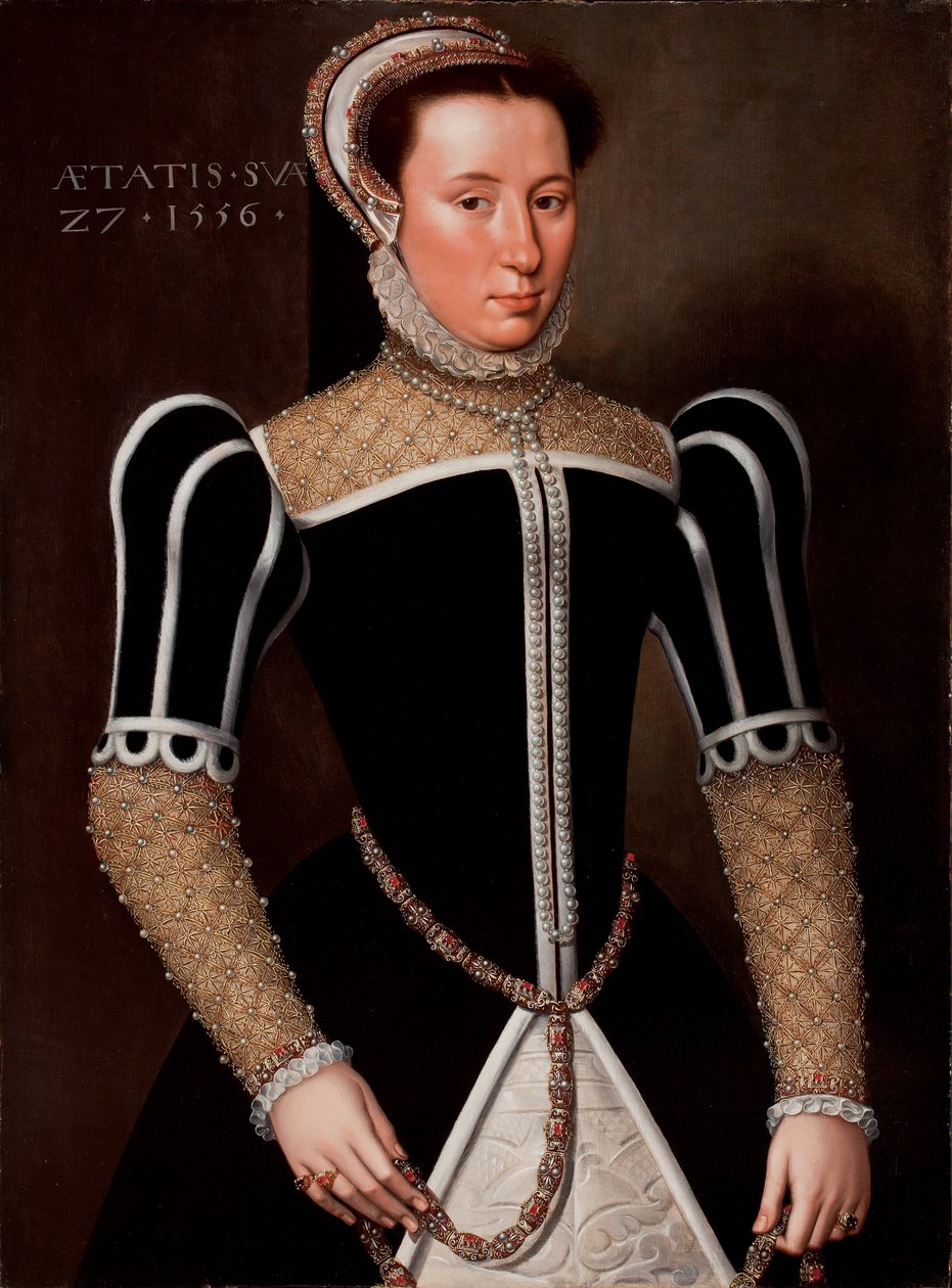 Ritratto di una donna, 1556 da Flemish School