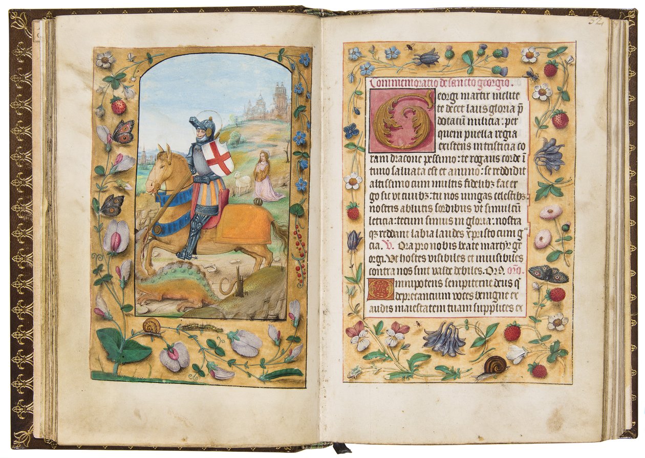 San Giorgio, illustrazione da 