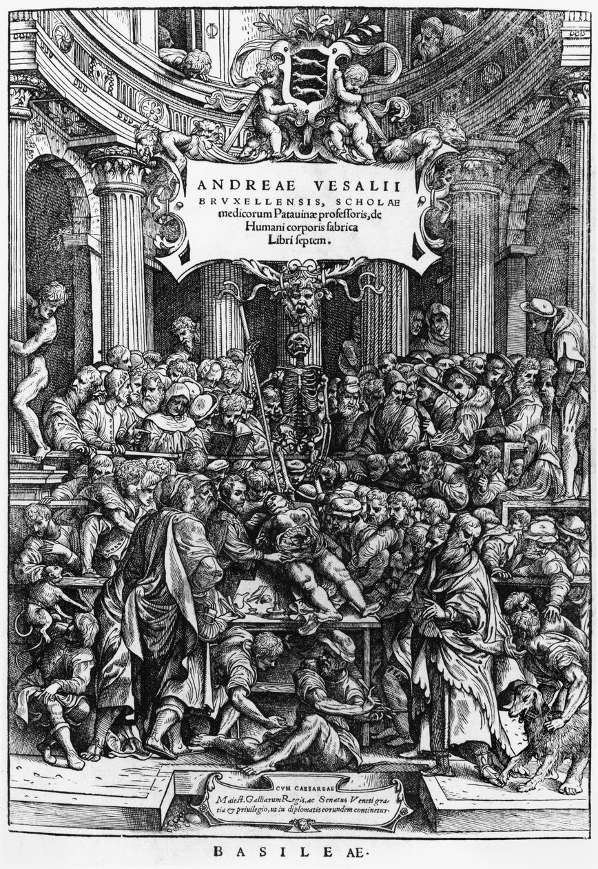 La lezione di anatomia di Andreas Vesalius (1514-64) alla scuola di medicina di Bruxelles, frontespizio da De Humani Corporis Fabrica, pubblicato a Basilea, 1555 da Flemish School
