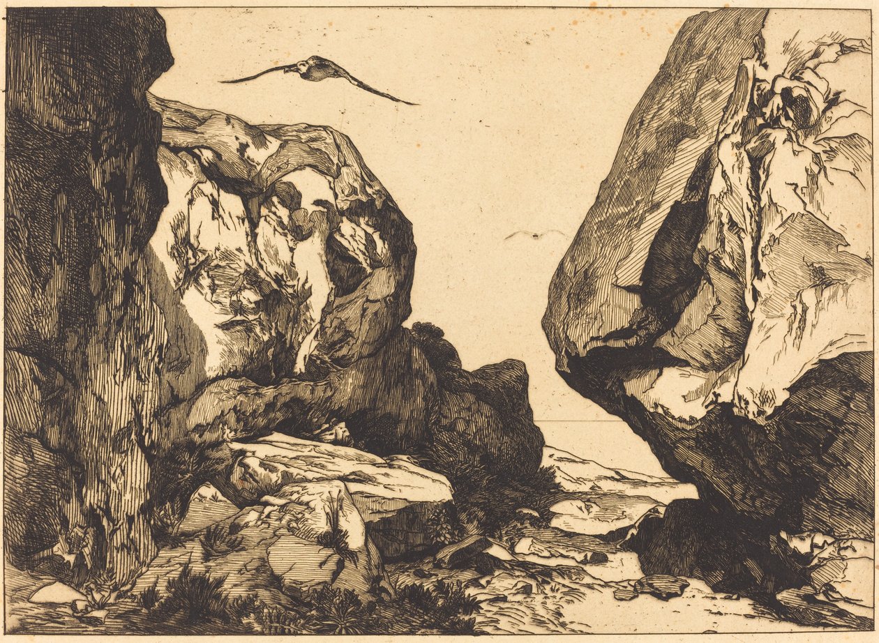 Gola nelle rocce (Gorge dans les rochers) da Félix Bracquemond after Jules Laurens