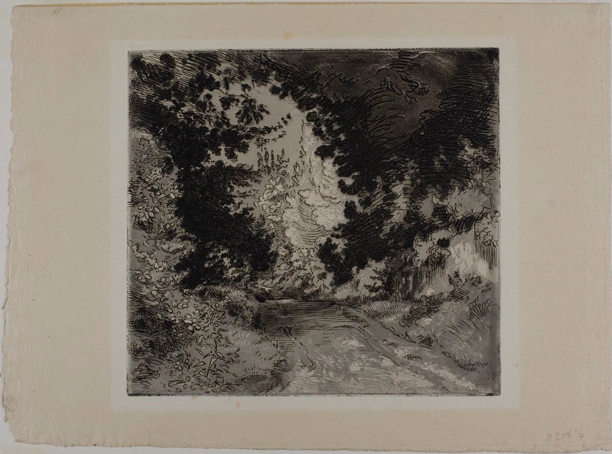 Il Chemin de Coutures, a Sèvres da Félix Henri Bracquemond