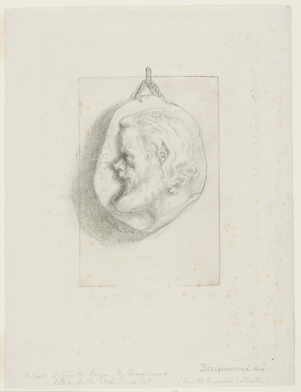 Profilo Ritratto di Charles Meryon da Félix Henri Bracquemond