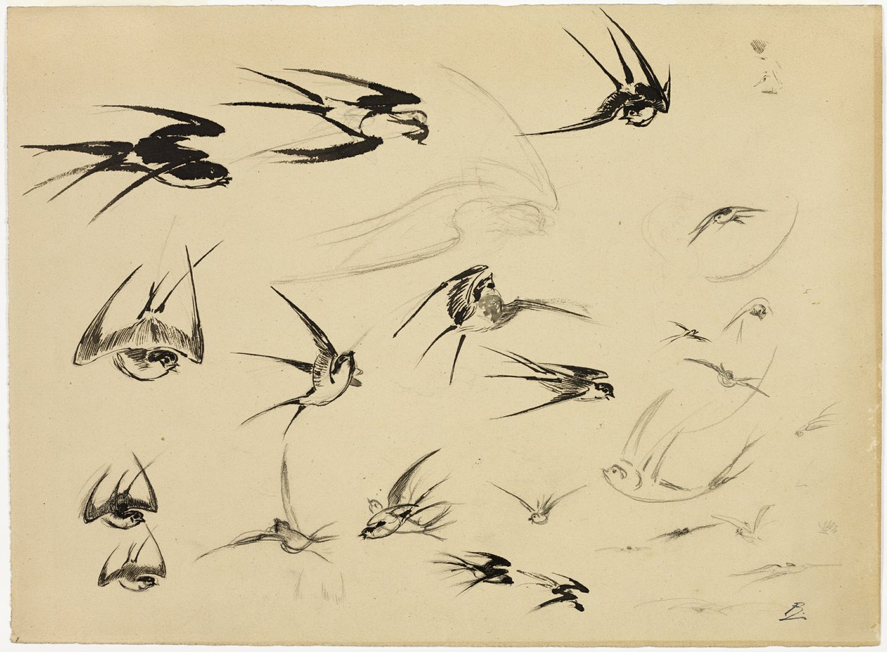 Le rondini da Félix Henri Bracquemond