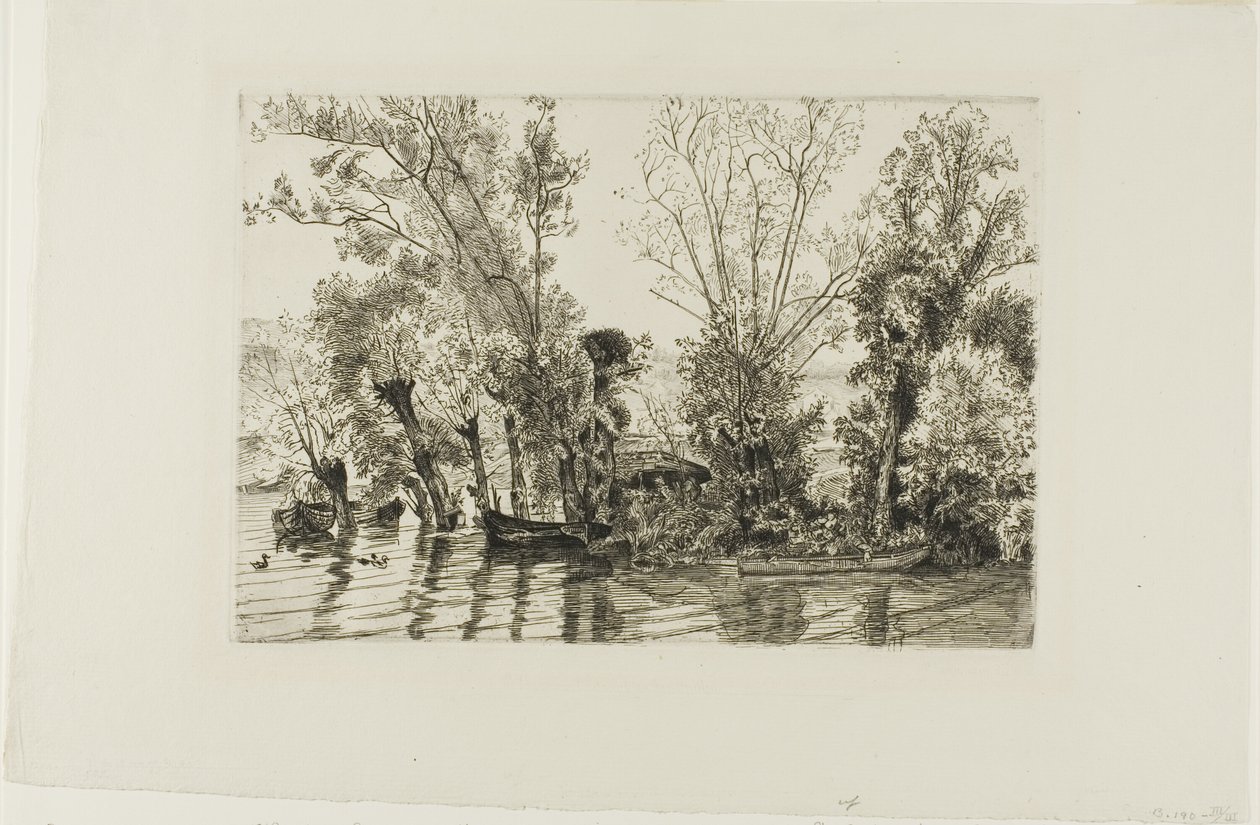 I salici di Mottiaux da Félix Henri Bracquemond