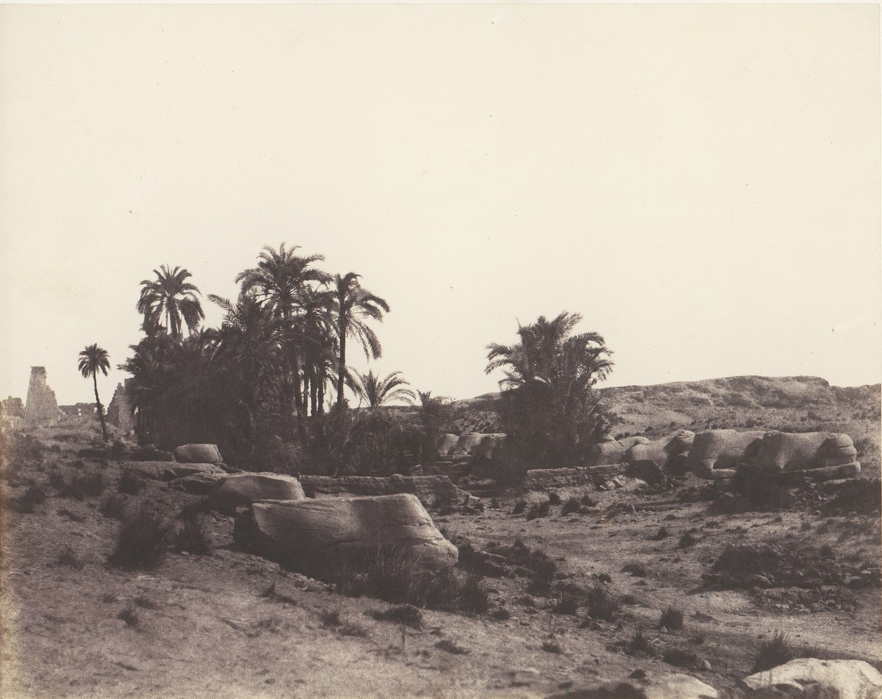 Karnak Tebe, Avenue de Sphinx - Vue Générale Prise du Point G, 1851-52, stampato 1853-54 da Félix Teynard