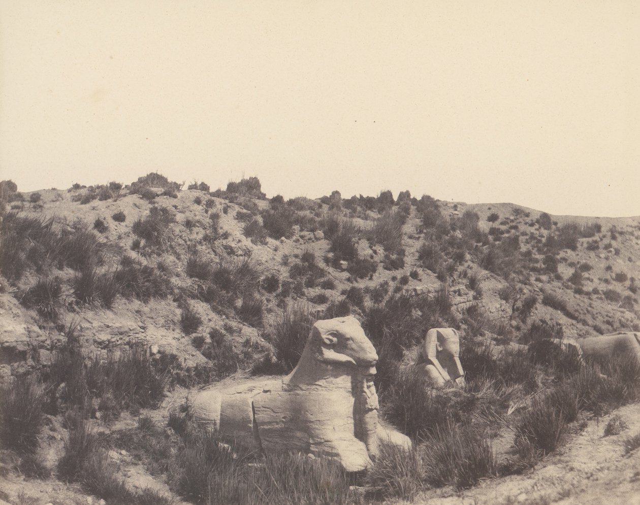 Karnak Tebe, Sfinge a Testa Umana e a Testa di Ariete, 1851-52, stampato 1853-54 da Félix Teynard