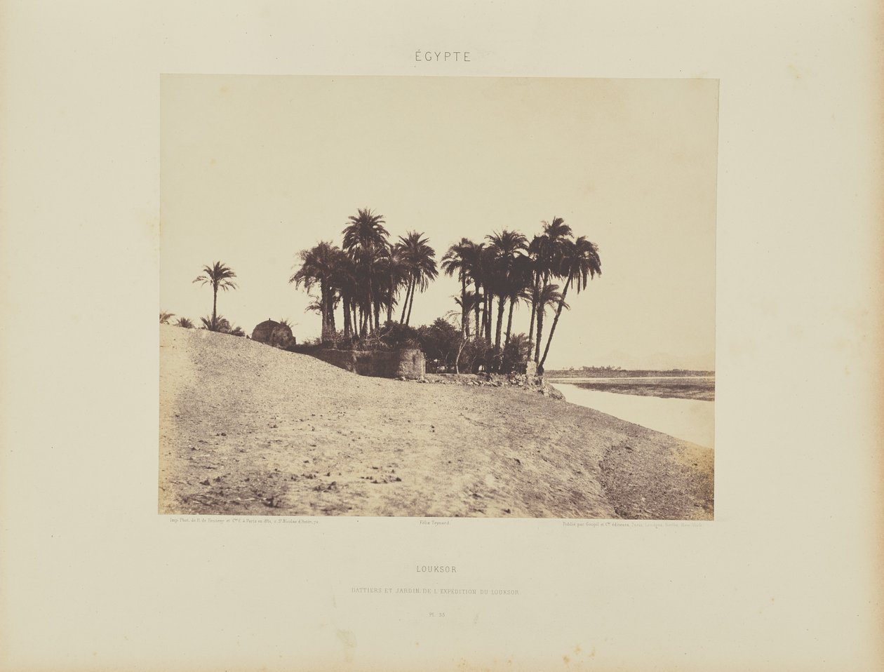 Luxor. Palme da dattero e giardino della spedizione di Luxor da Félix Teynard