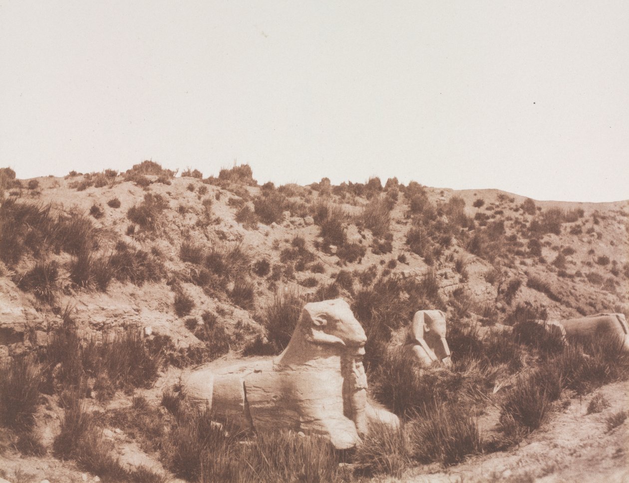 Sfingi con testa umana e con testa di ariete a Point Y. Karnak (Tebe) da Félix Teynard