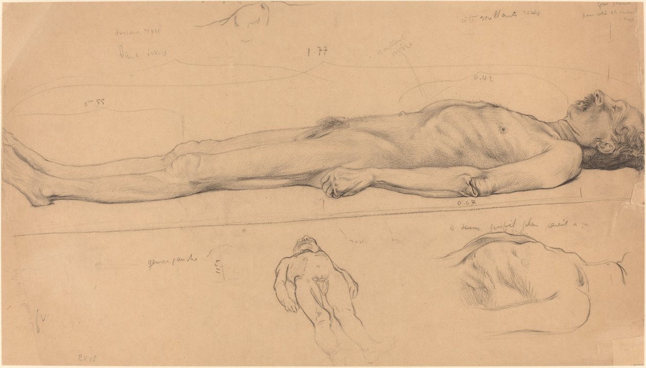 Studio del cadavere per Il Cristo morto da Félix Vallotton