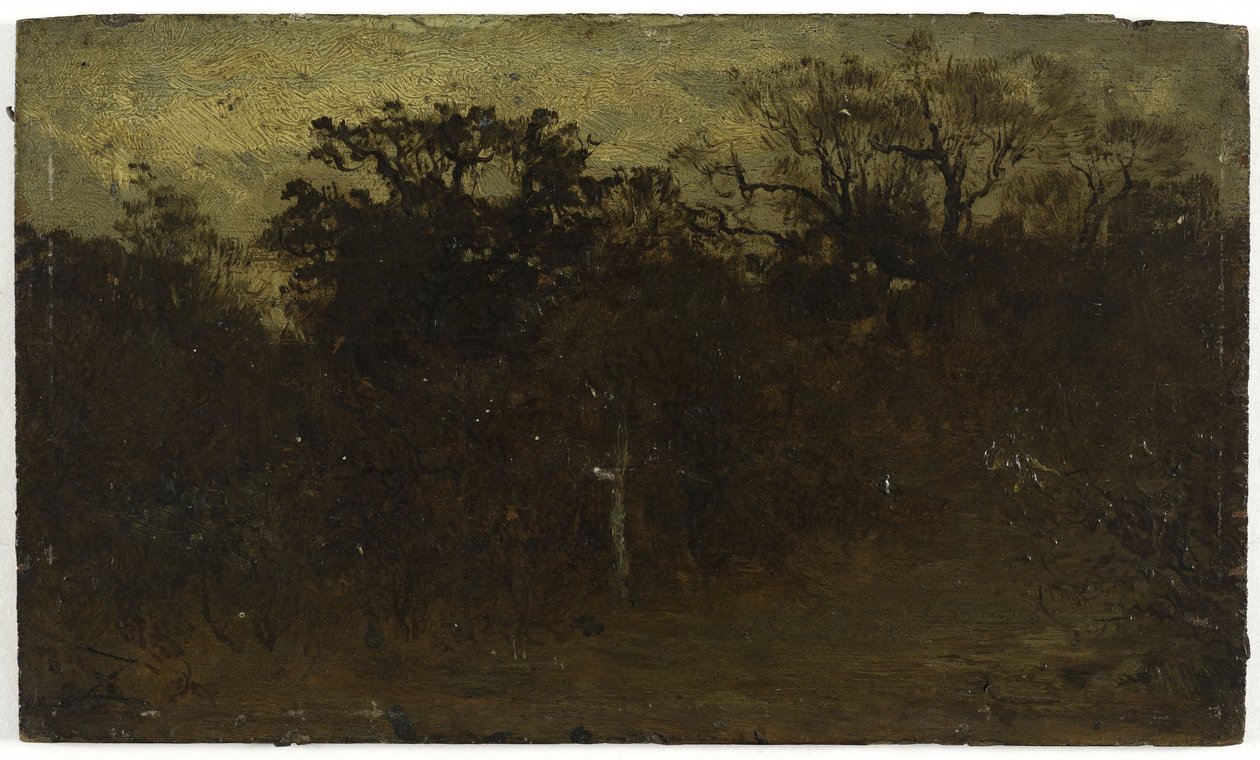 Angolo di foresta, tra il 1850 e il 1860 da Félix Ziem