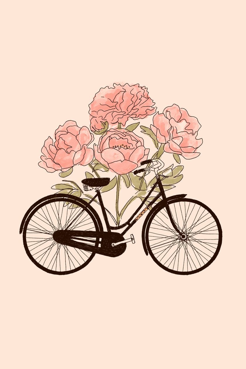 Bicicletta e fiore: Parigi da Florent Bodart
