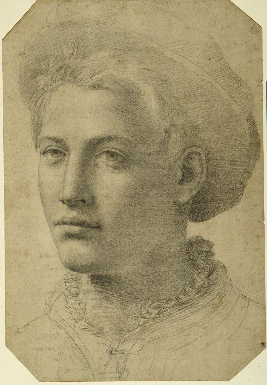 Ritratto di un giovane con un berretto, c.1530-40 da Florentine School
