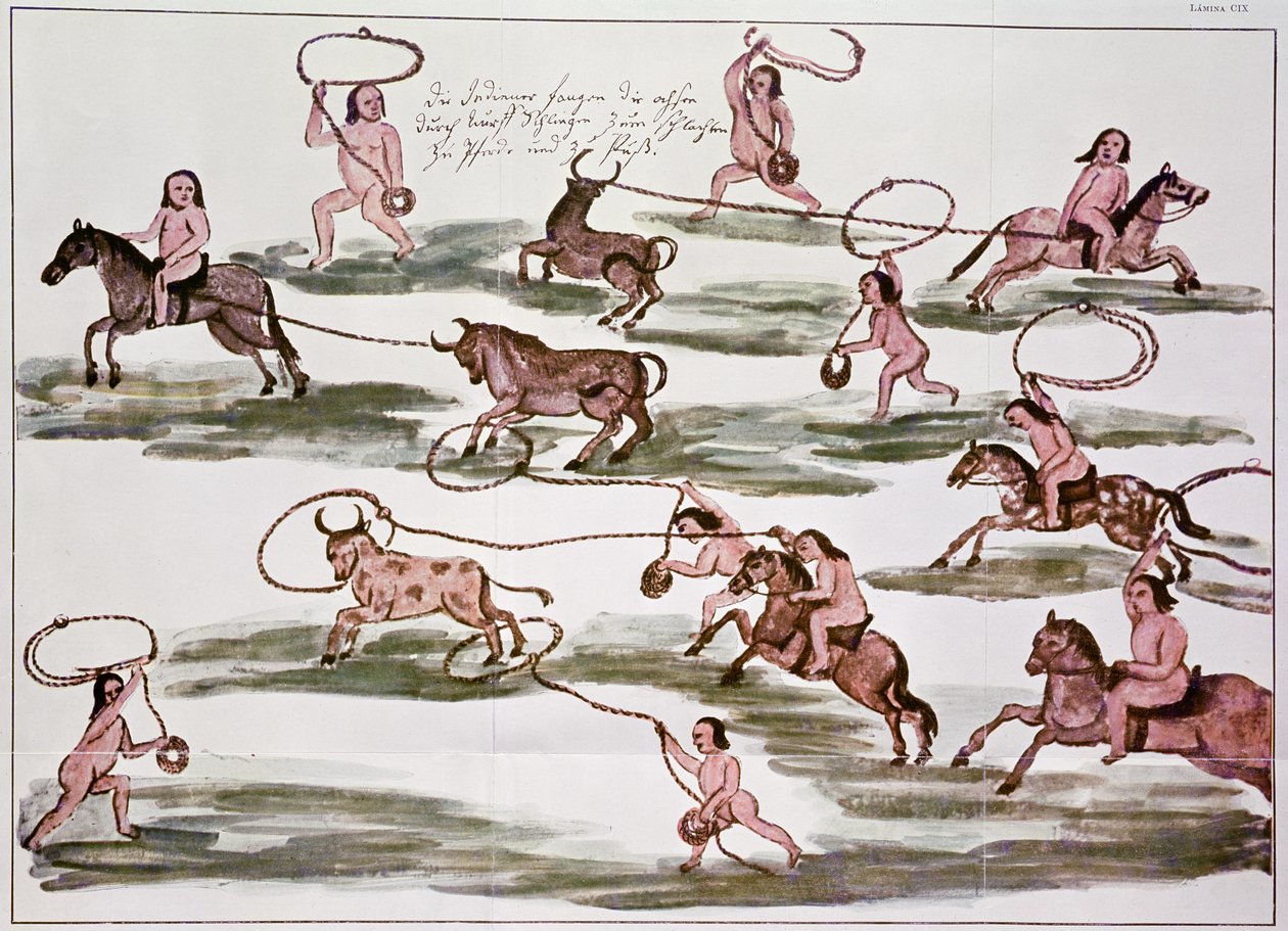 Il metodo di caccia degli indiani Mocovi, illustrazione da 