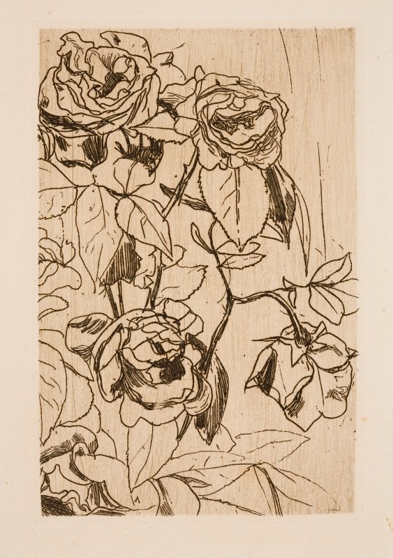 Studio di rose da Floris Verster