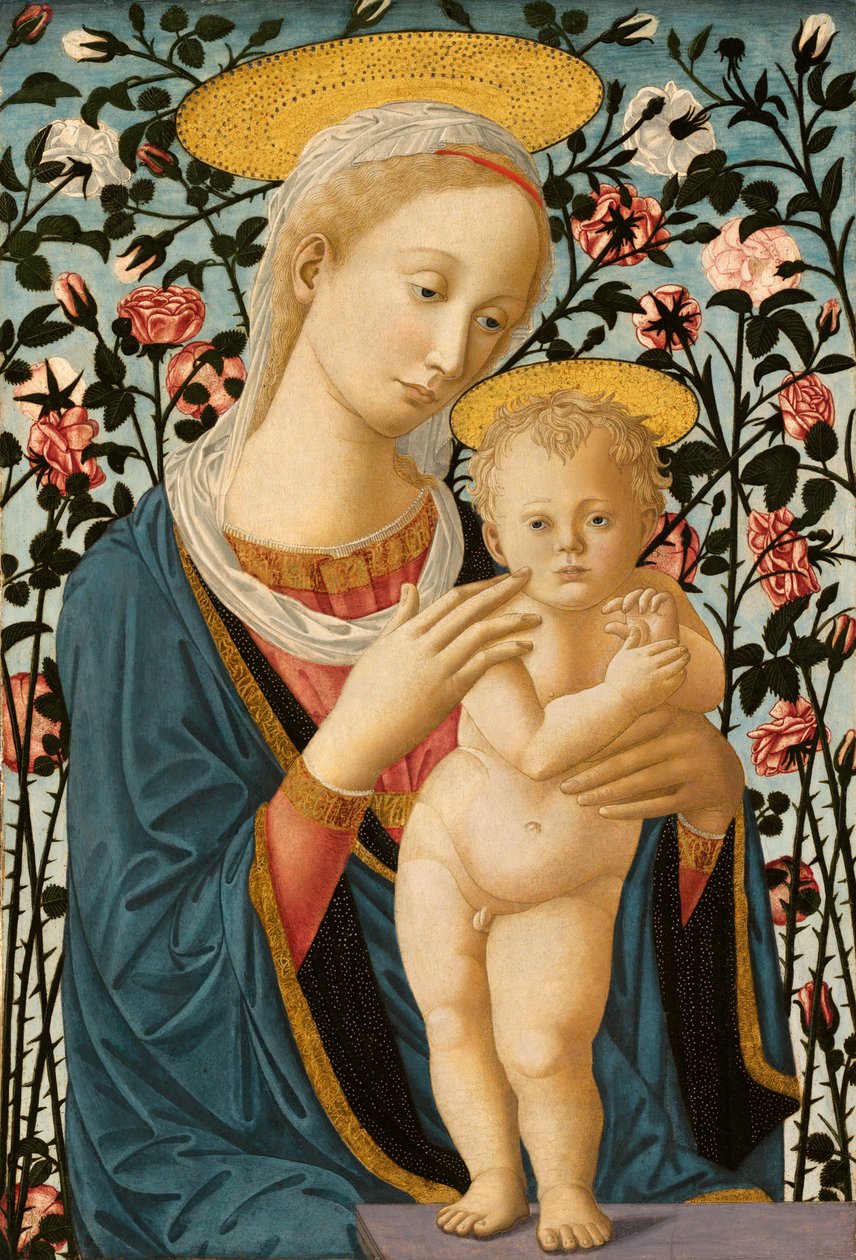 Madonna col Bambino da Follower of Fra Filippo Lippi and Pesellino