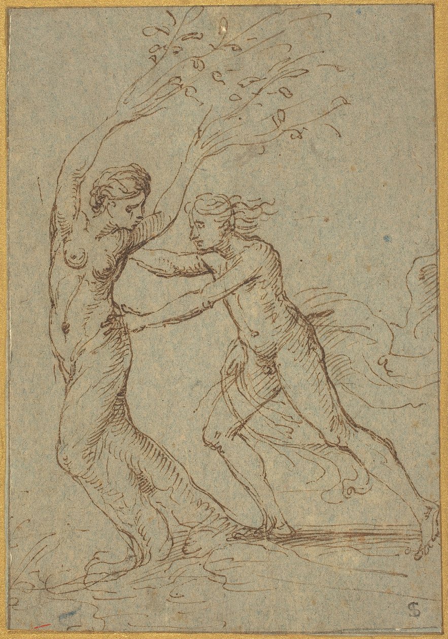 Apollo e Dafne da Follower of Giulio Romano