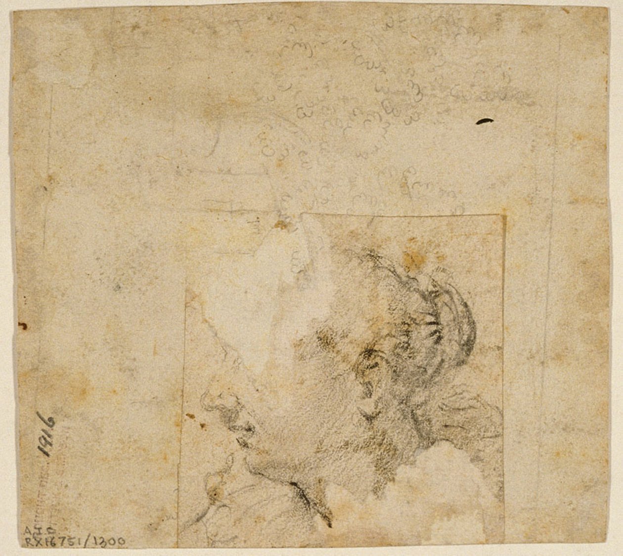 Testa femminile di profilo a sinistra; Schizzo di alberi e edificio da Follower of Jacopo Bassano