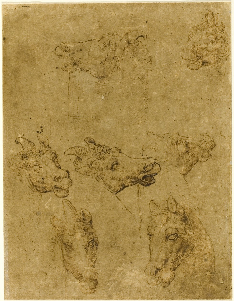 Teste di cavalli e unicorni da Follower of Leonardo da Vinci