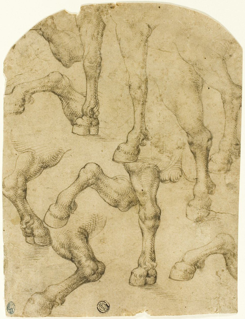 Schizzi di zampe di cavalli (o dromedari) (recto); colonne (verso) da Follower of Leonardo da Vinci