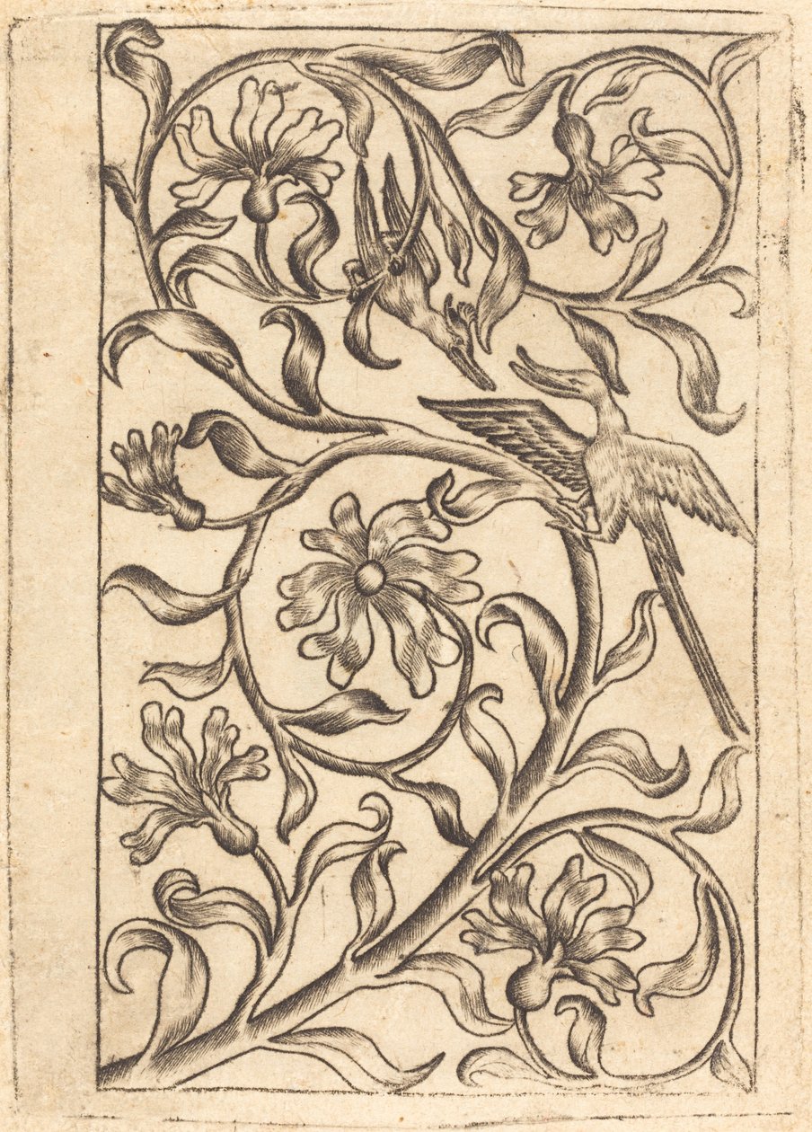 Ornamento di vite con due uccelli da Follower of Master of the Playing Cards