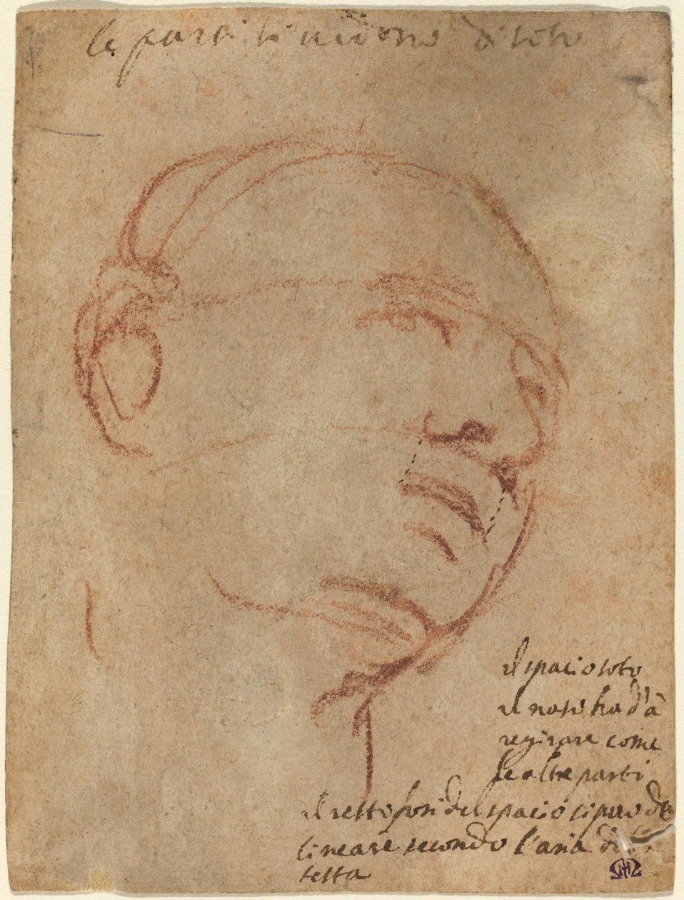 Testa di un uomo da Follower of Michelangelo