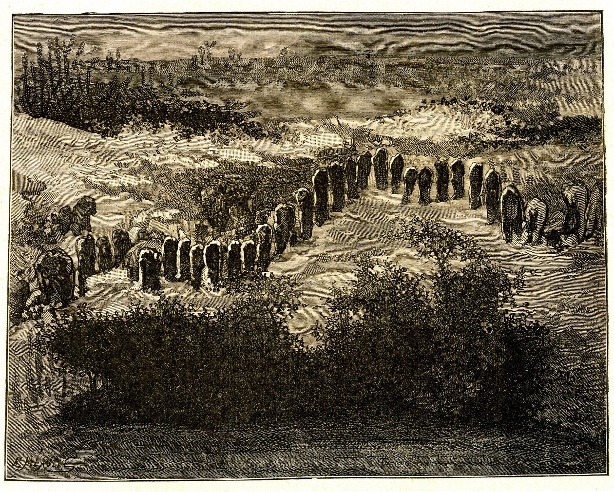 Allineamenti di menhir di Carnac. Disegno di Victor Hugo inciso da Meaulle. Estratto dal testo di Hugo (En voyage en Bretagne) da Fortune Louis Meaulle