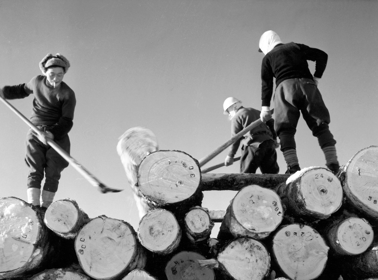 Tagliatori di legno al lavoro da Fosco Maraini