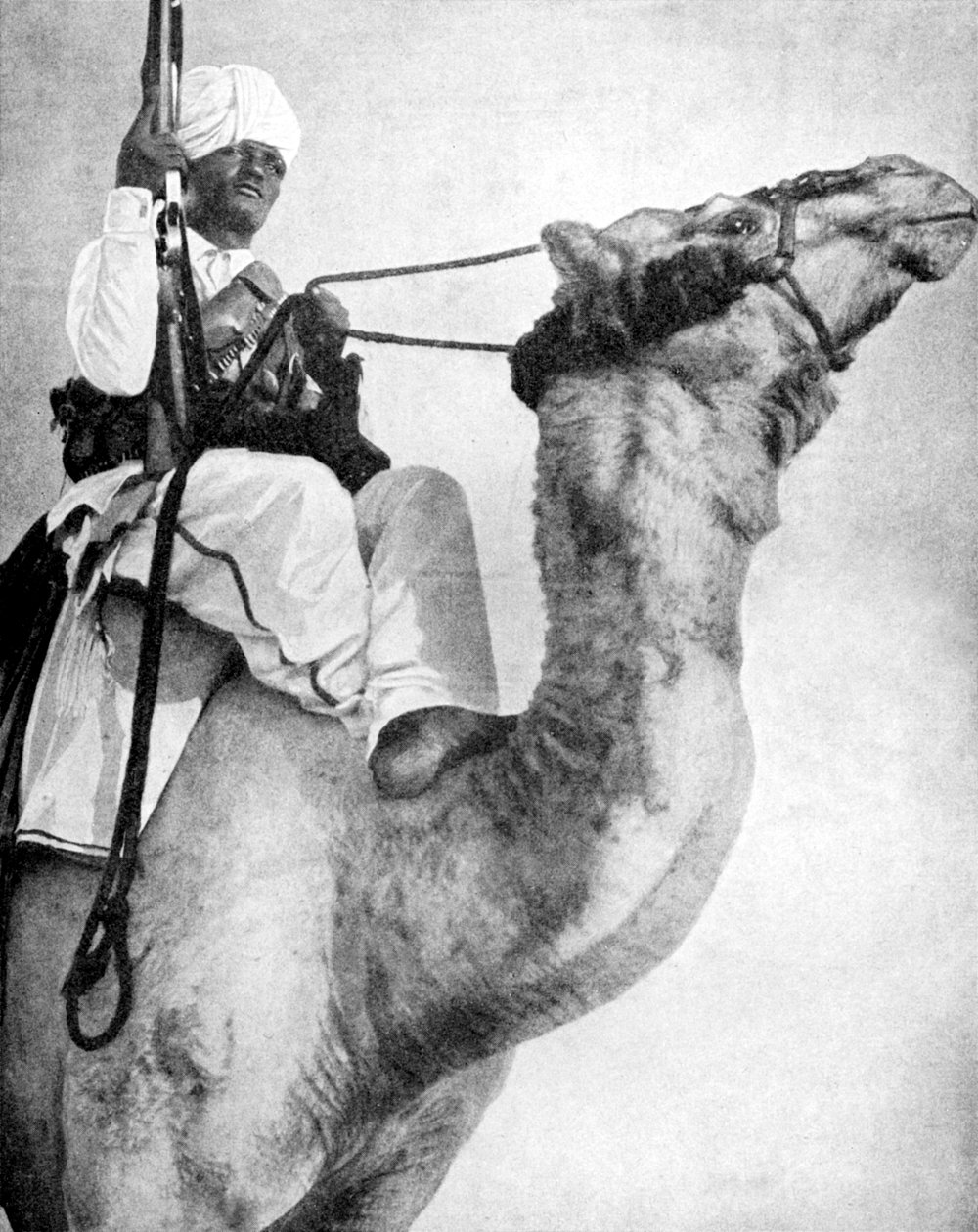 Guerriero del deserto d