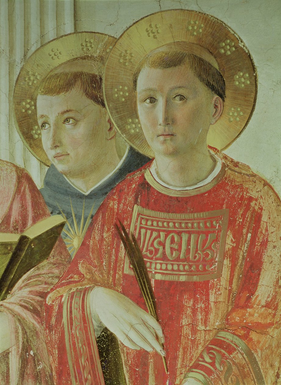 Madonna dell