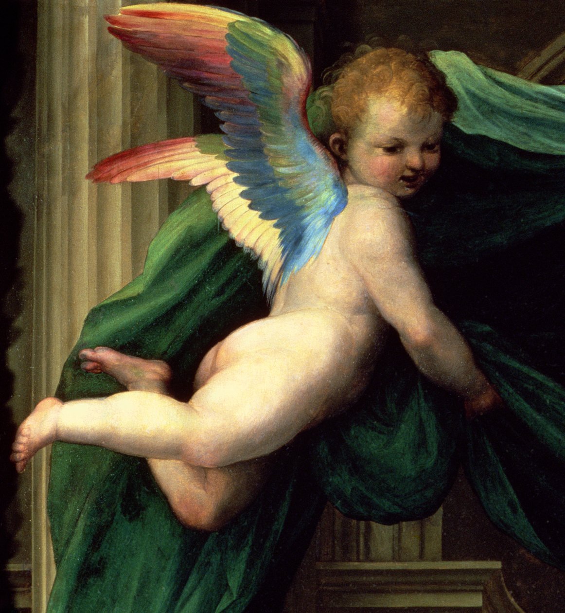 Il Matrimonio Mistico di Santa Caterina da Siena con Santi, dettaglio di un angelo da Fra Bartolommeo