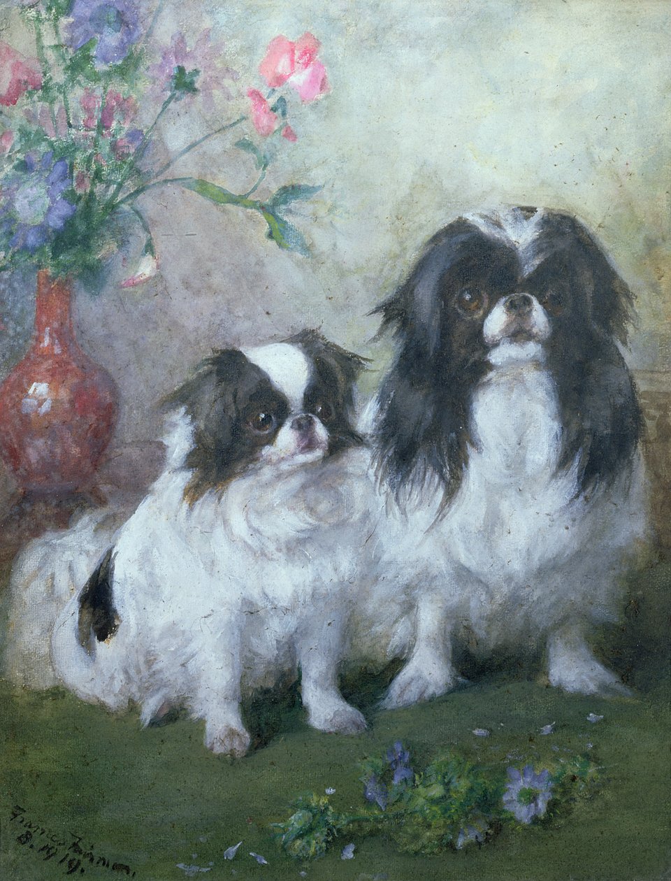 Una cagna giapponese Chin e il suo cucciolo, 1919 da Frances C. Fairman