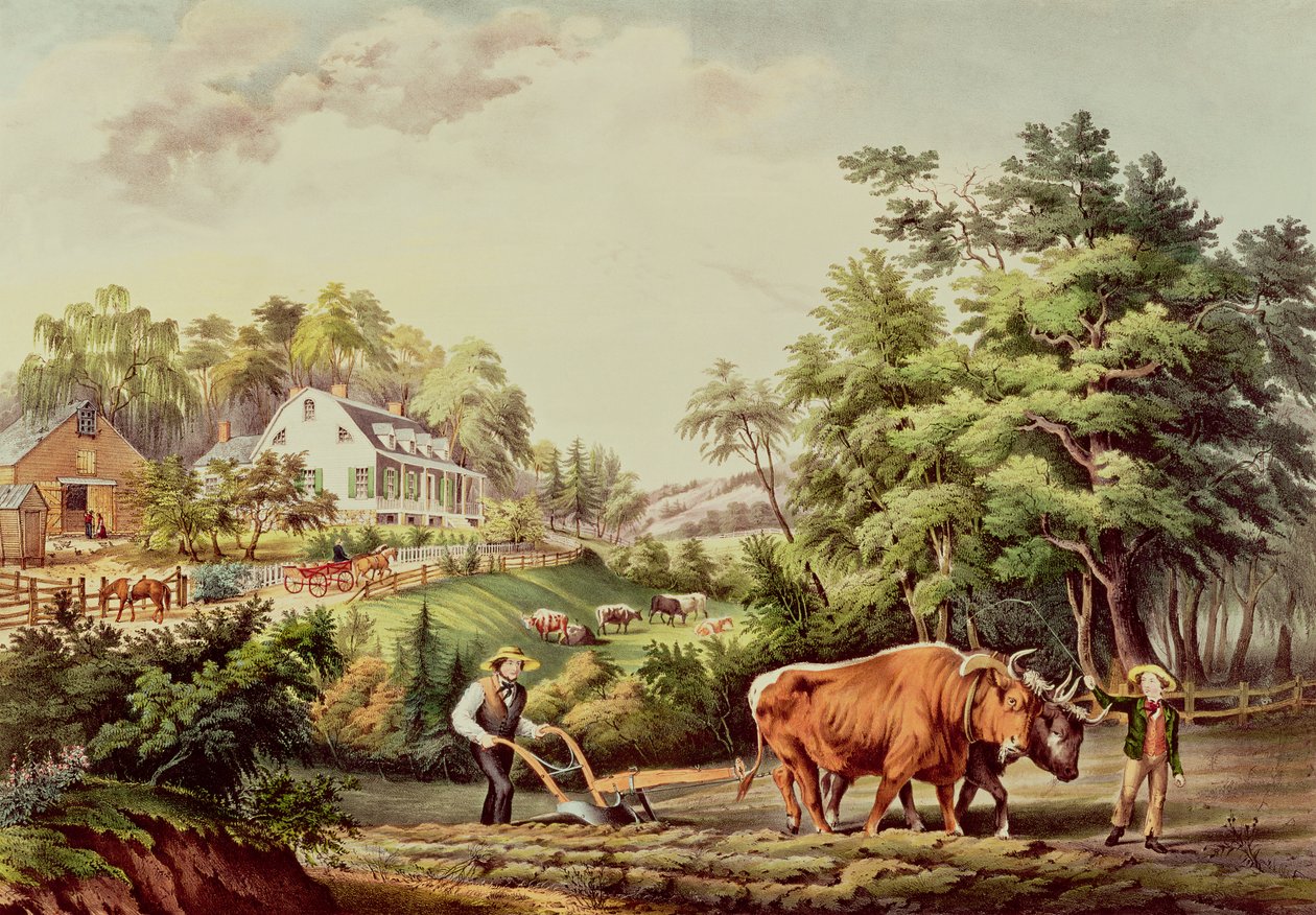 Scene di fattorie americane, incise da Nathaniel Currier, pubblicate da Currier and Ives, New York da Frances Flora Bond Palmer