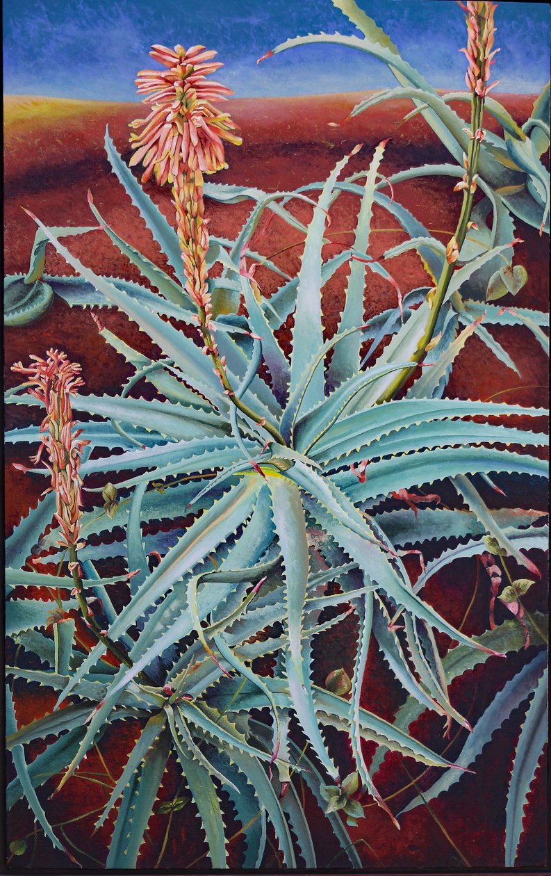 Aloe da Frances Ferdinands