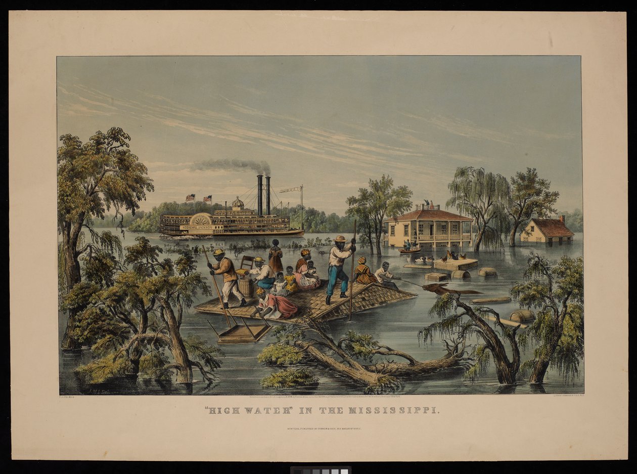 Alta marea nel Mississippi da Frances Flora Bond (c.1812 76) Palmer