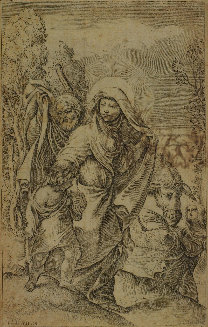 La Santa Vergine ritorna dall