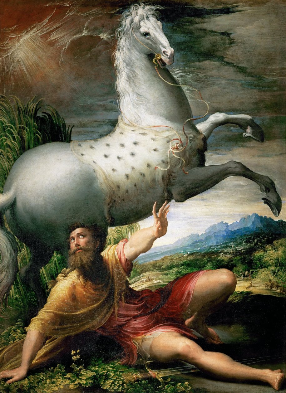 Autoritratto in uno specchio convesso da Parmigianino